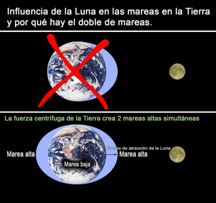 La fuerza centrífuga de la tierra crea dos mareas altas simultáneas