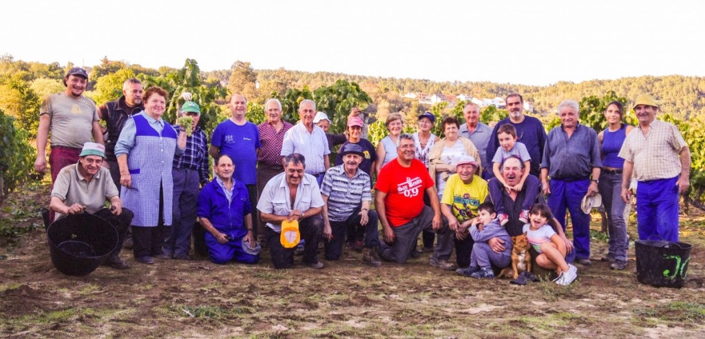 vendimia-2013-carballo-moreiras-sobrado-del-obispo